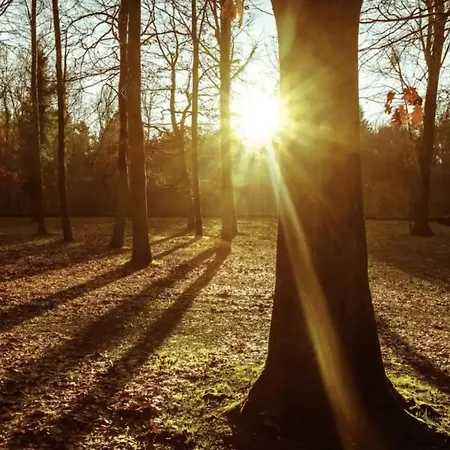 Apartment Charmante Maison Lumineuse Au Coeur De Liege!