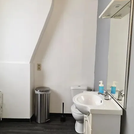 Charmante Maison Lumineuse Au Coeur De Liege! * Ans